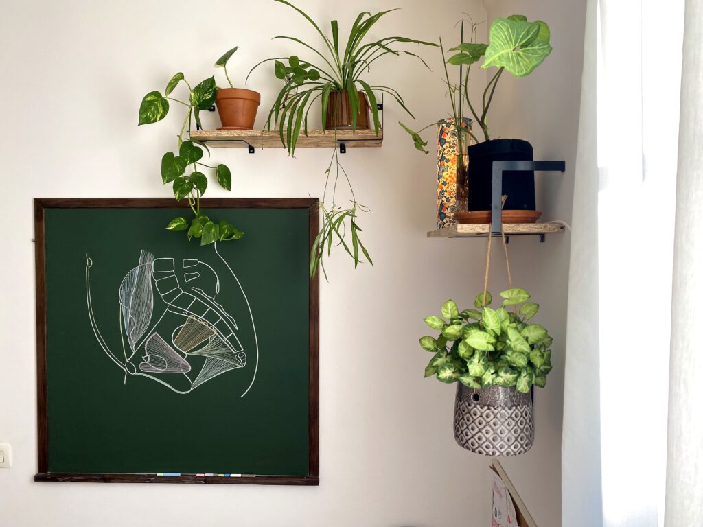 Accompagnement pluridisciplinaire des femmes, enfants et famille à Paris13